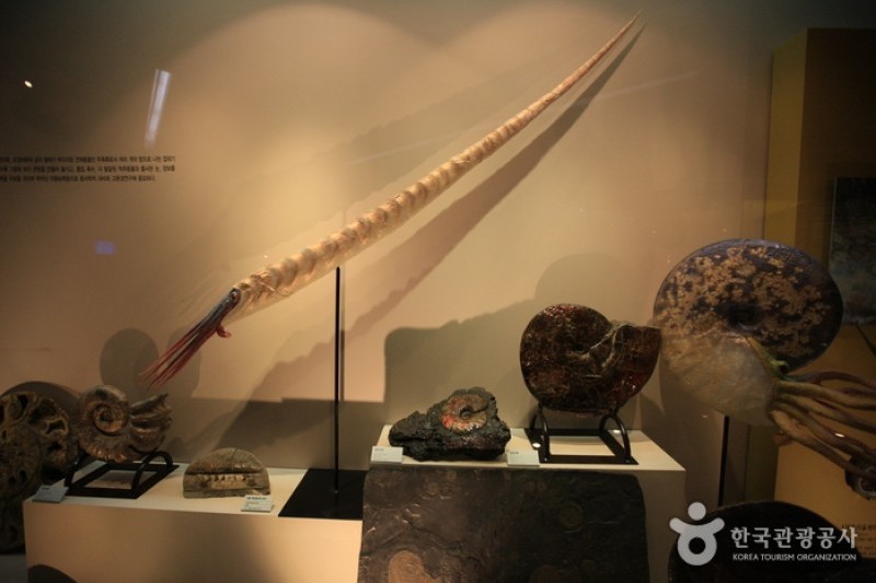 Mokpo Natural History Museum  (8/21)