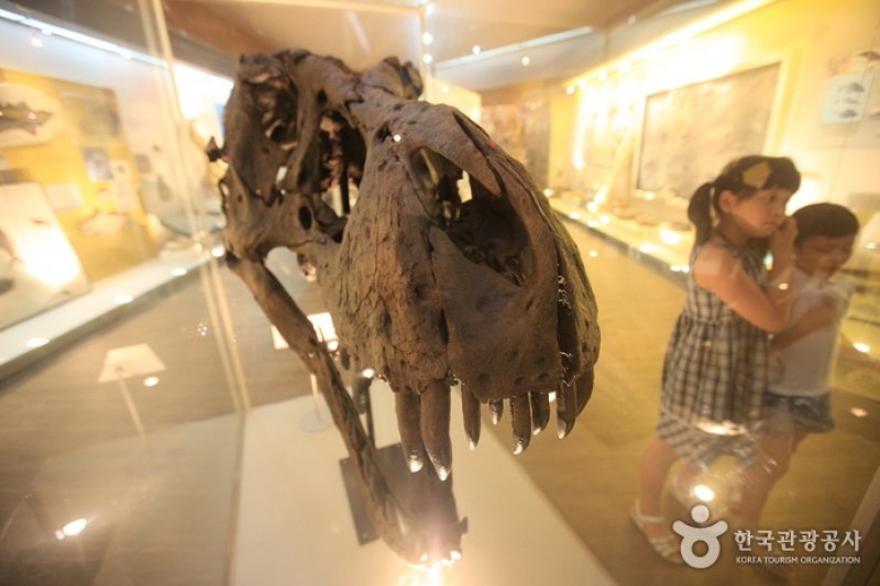 Mokpo Natural History Museum  (9/21)