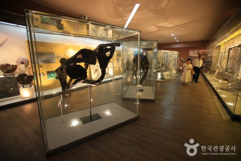 Mokpo Natural History Museum  (11/21)