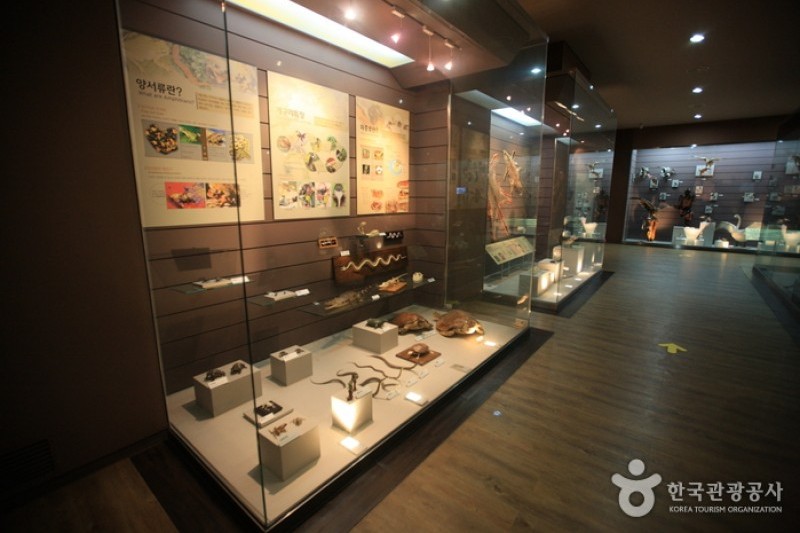 Mokpo Natural History Museum  (12/21)