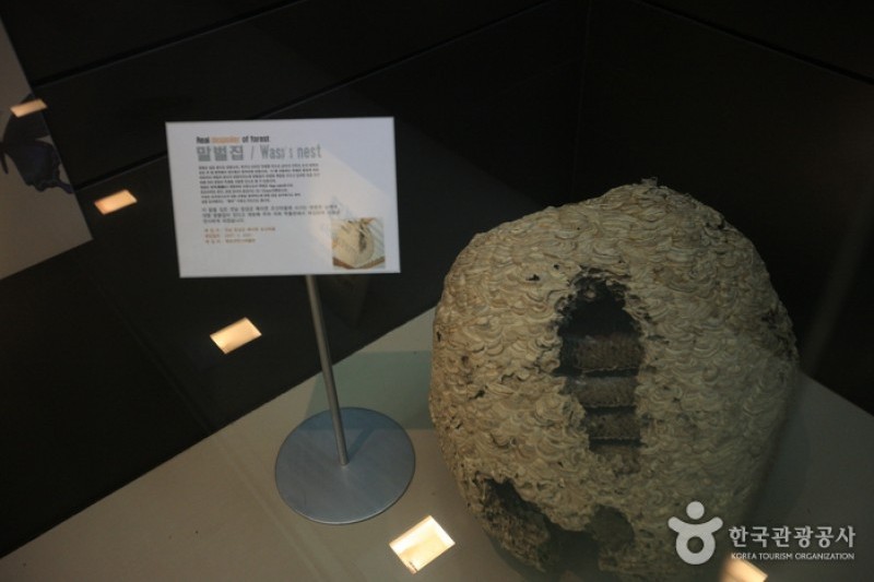 Mokpo Natural History Museum  (16/21)