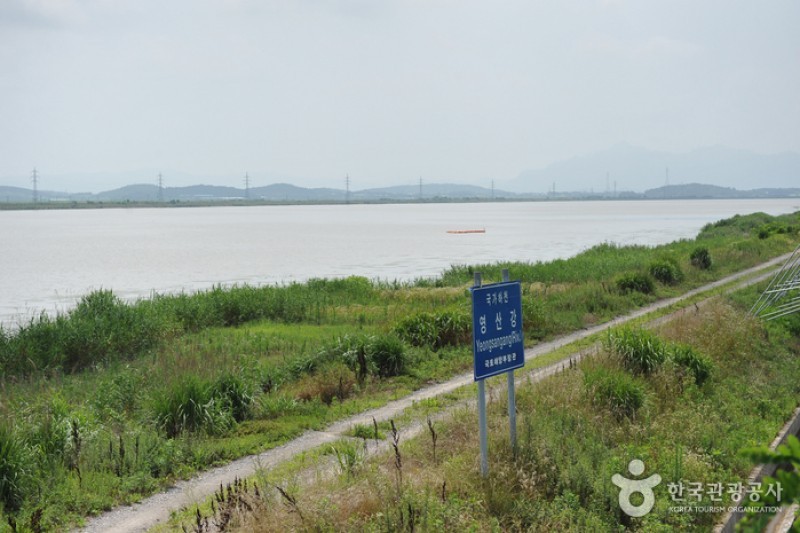 Yeongsangang River  (5/5)