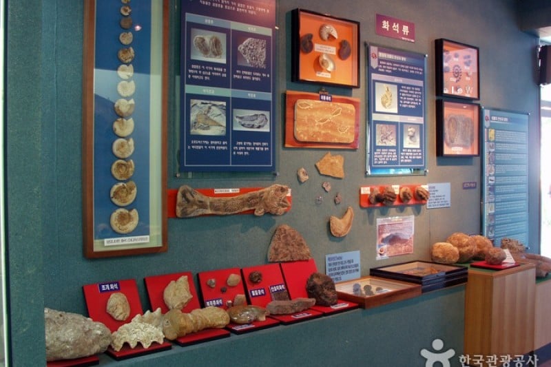Ttangkkut Marine Natural History Museum  (5/17)