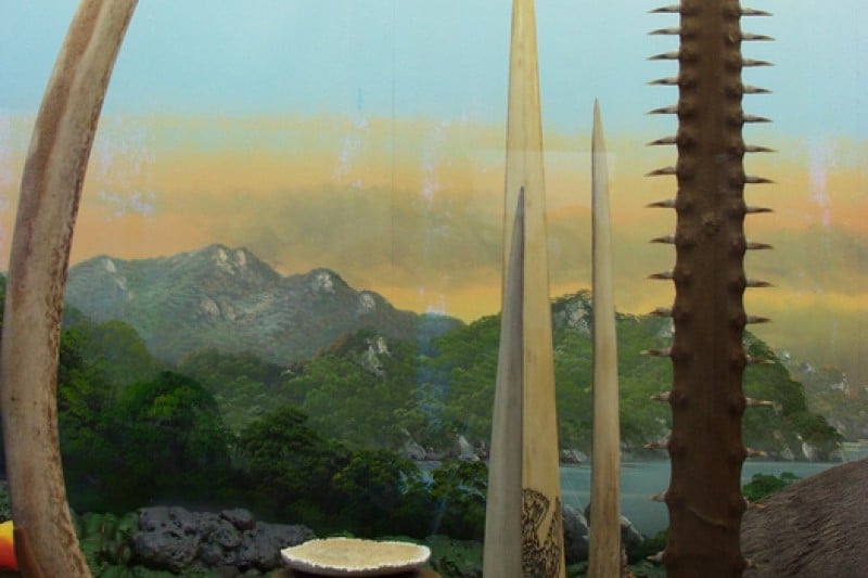 Ttangkkut Marine Natural History Museum  (8/17)