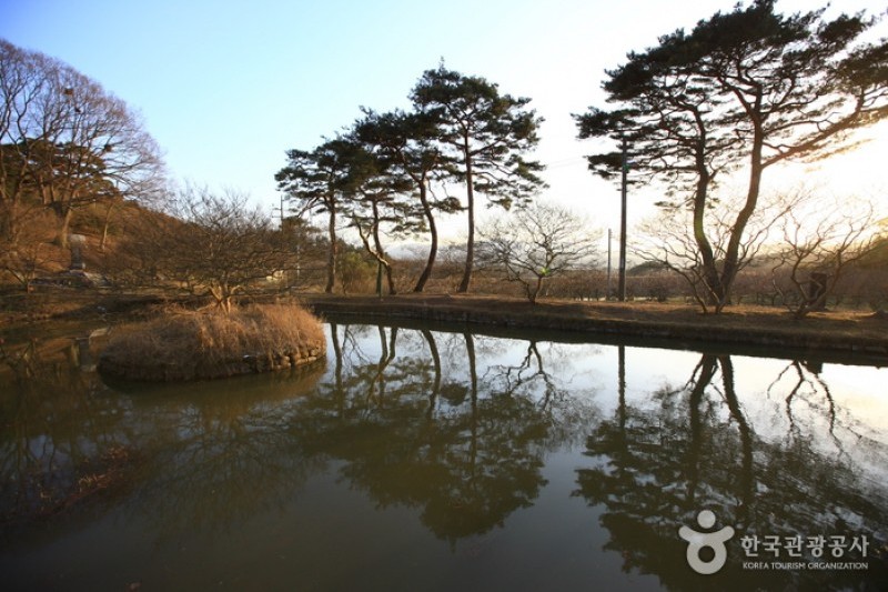 Damyang Myeongokheonrimwon Garden  (2/6)