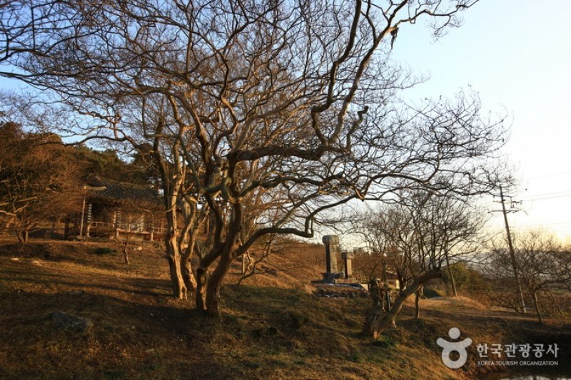 Damyang Myeongokheonrimwon Garden  (3/6)