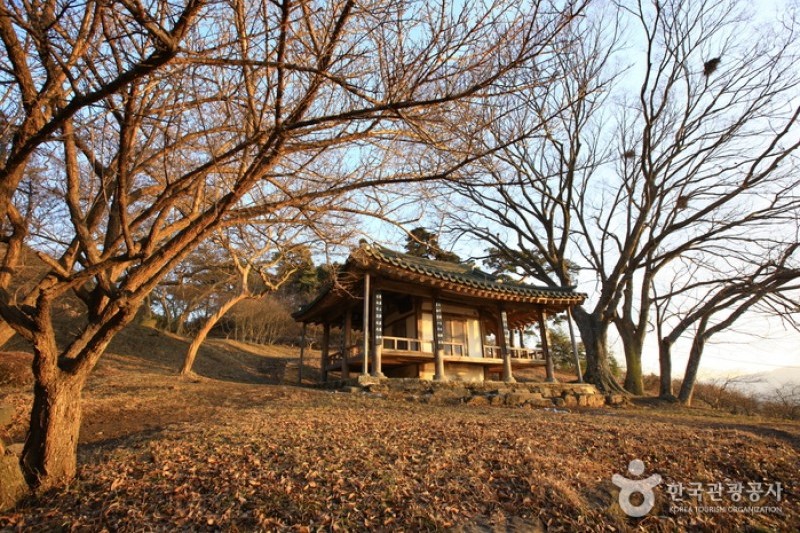 Damyang Myeongokheonrimwon Garden  (4/6)