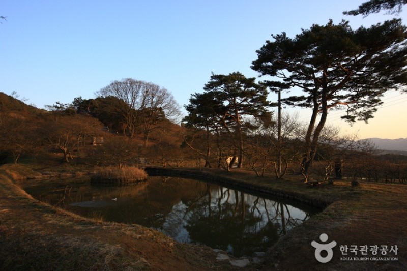 Damyang Myeongokheonrimwon Garden  (6/6)