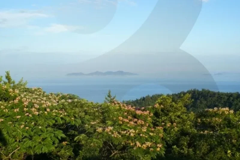 Anmado Island  (10/15)