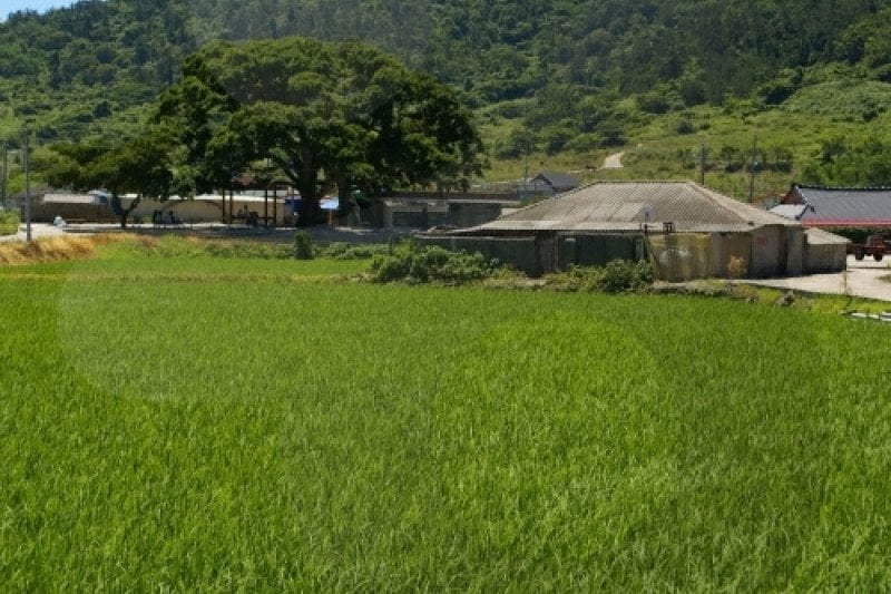 Anmado Island  (12/15)
