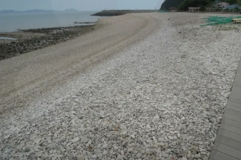 Songido Island  (7/11)