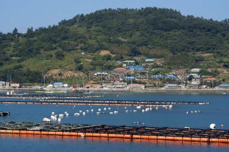 Nohwado Island  (12/13)
