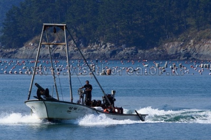 Soando Island  (11/18)