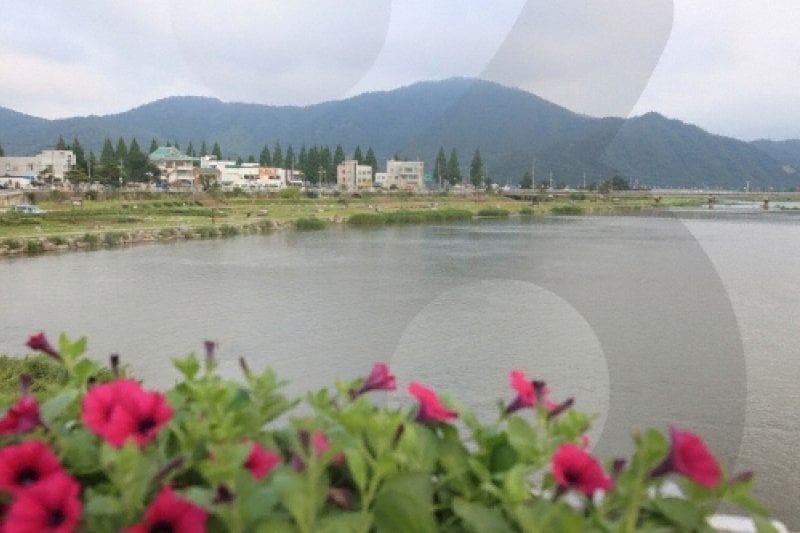 Tamjingang River  (5/12)