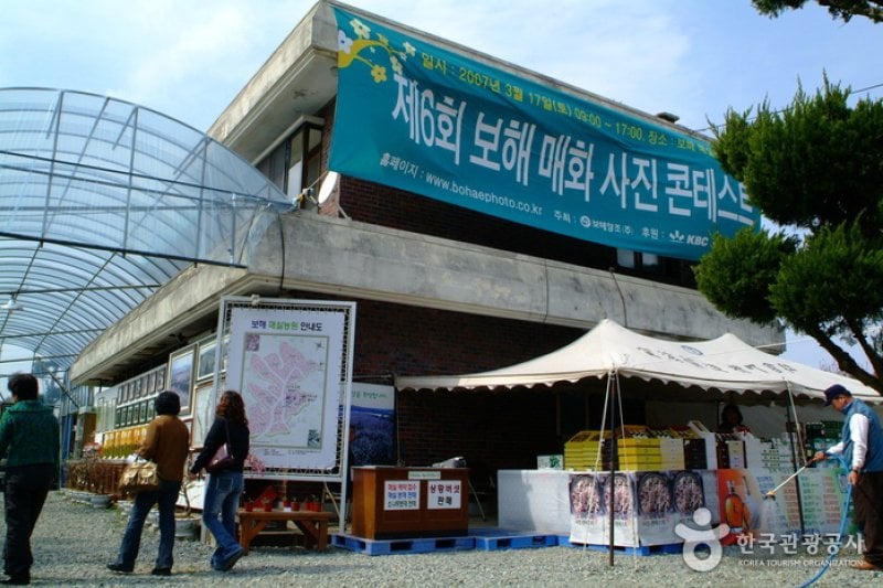 Ttangkkeut Maehwa Festival  (7/14)