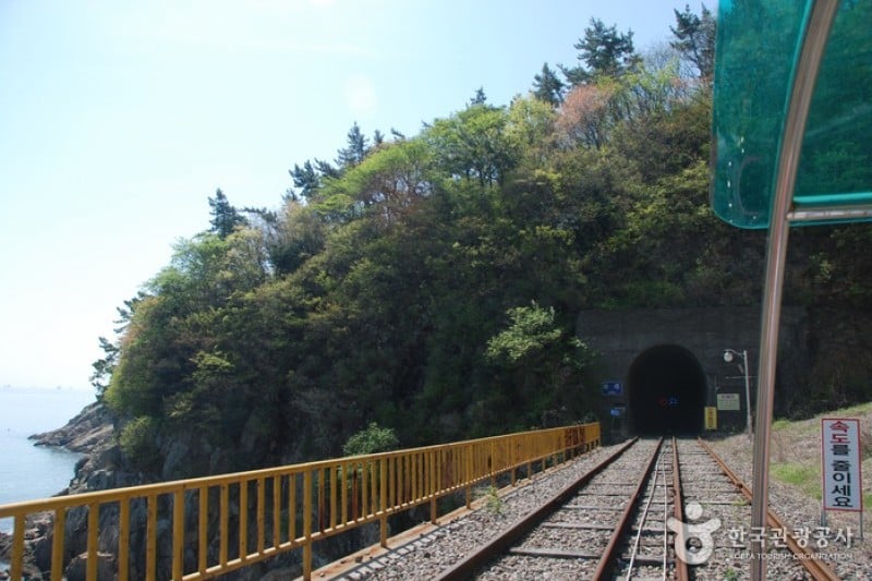 Yeosu Ocean Railbike  (3/7)