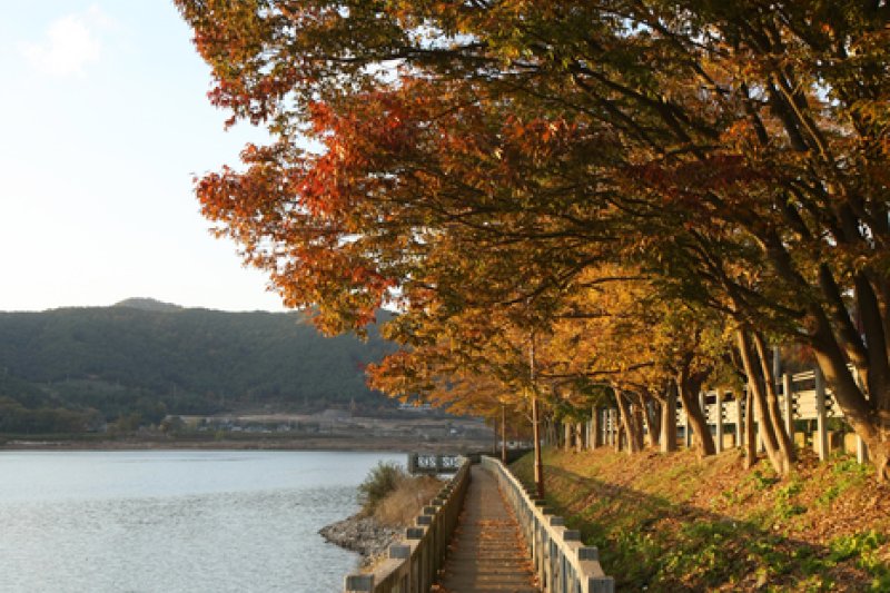 Jangseongho Lake Resort  (3/15)
