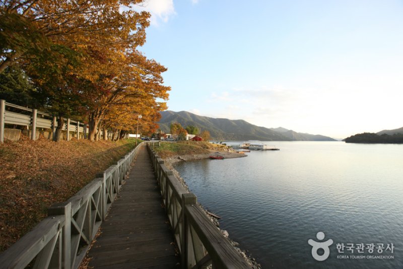 Jangseongho Lake Resort  (4/15)