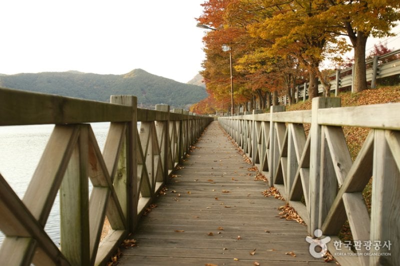 Jangseongho Lake Resort  (5/15)