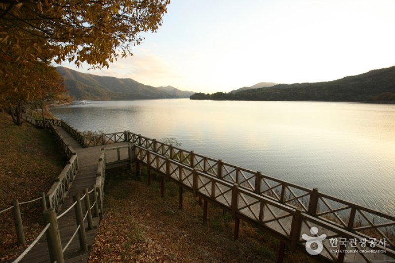 Jangseongho Lake Resort  (8/15)