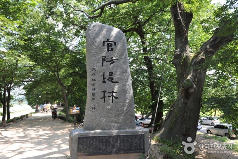 Gwanbangjerim Forest 