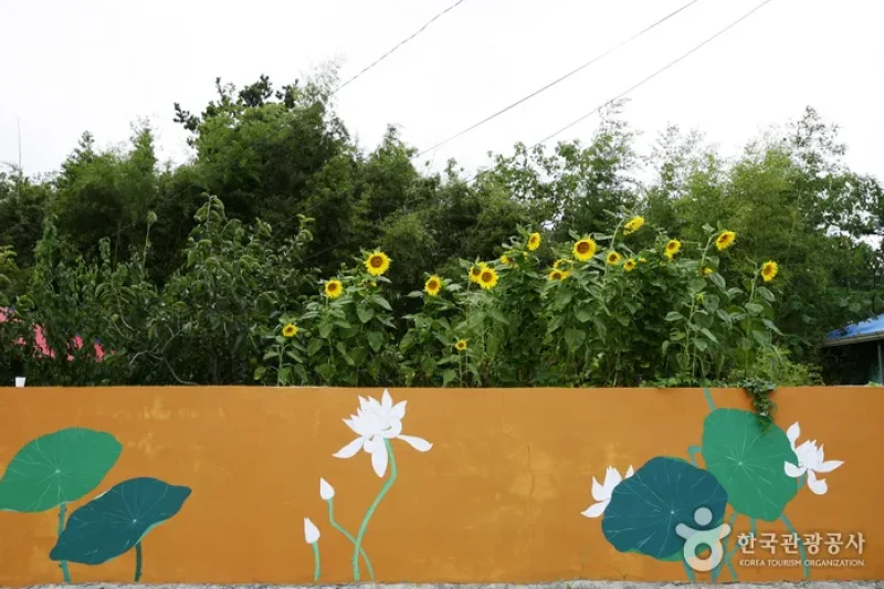 Hoesan White Lotus Pond in Muan  (5/23)