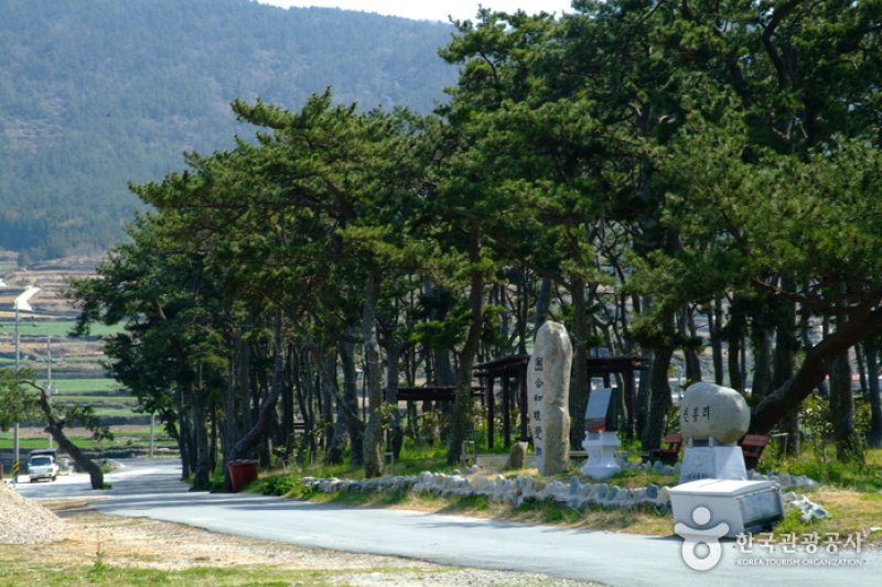 Sinheungni Beach  (3/6)