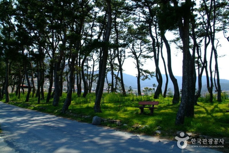 Sinheungni Beach  (6/6)
