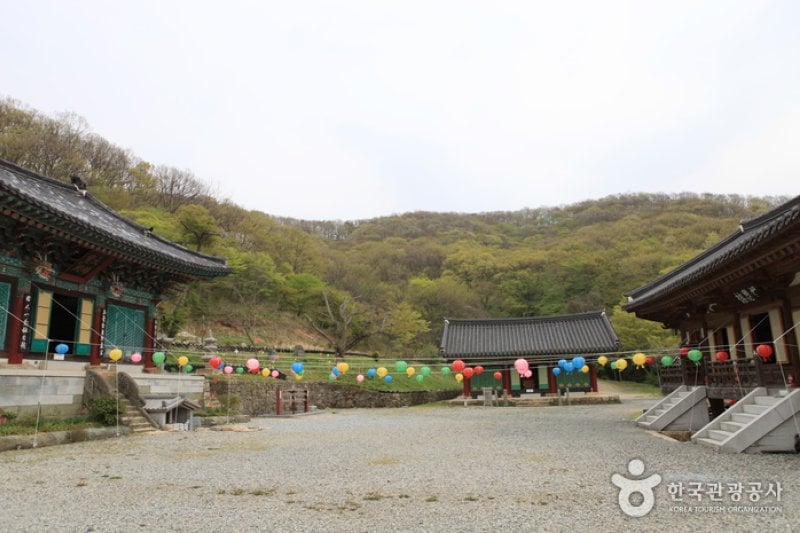 Yongcheonsa Temple  (8/15)