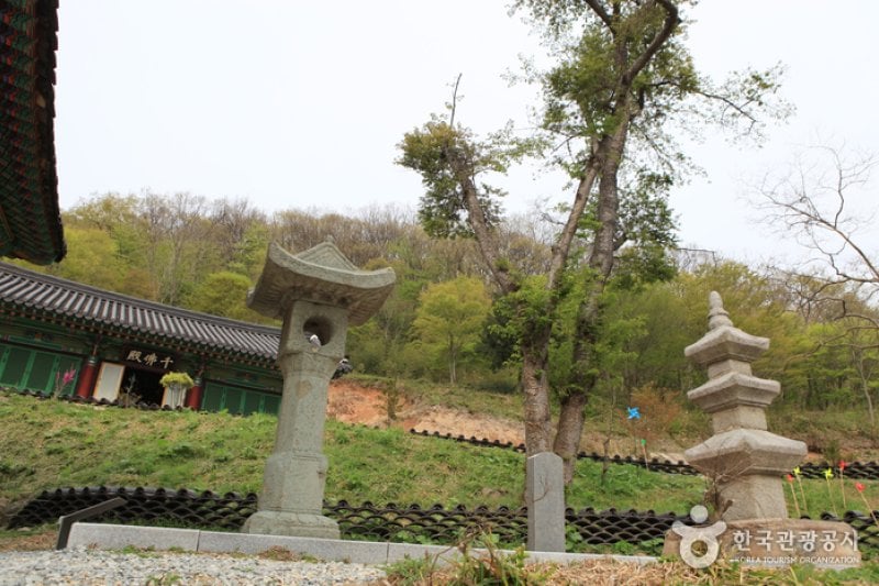 Yongcheonsa Temple  (11/15)
