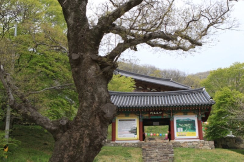 Yongcheonsa Temple  (15/15)