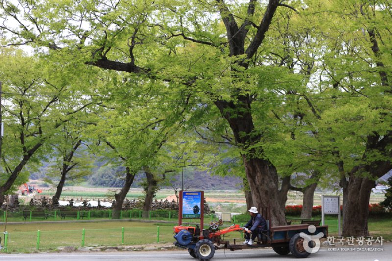 Mopyeong area 