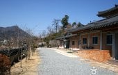 Museum of Natural Dye Arts 