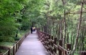 Daegu Arboretum 