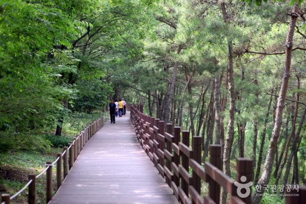 Daegu Arboretum