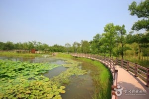 Hanbat Arboretum 