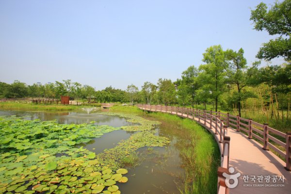 Hanbat Arboretum