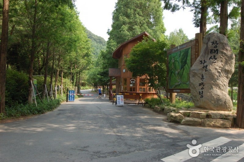 Jangtaesan Recreational Forest  (1/19)