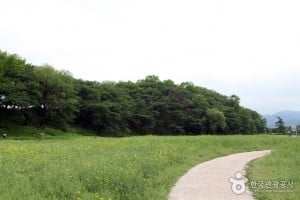 Gyeongju Wolseong Palace Site 