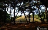 Royal Tomb of Queen Seondeok 