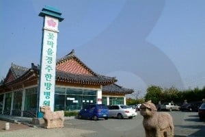 Gyeongju Mediflower Oriental Hospital 