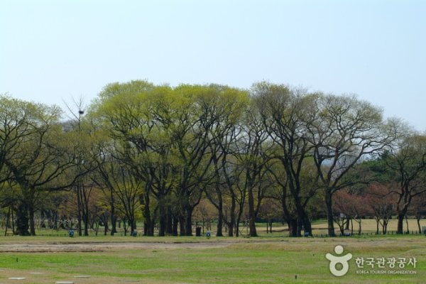 Gyeongju Gyerim Forest