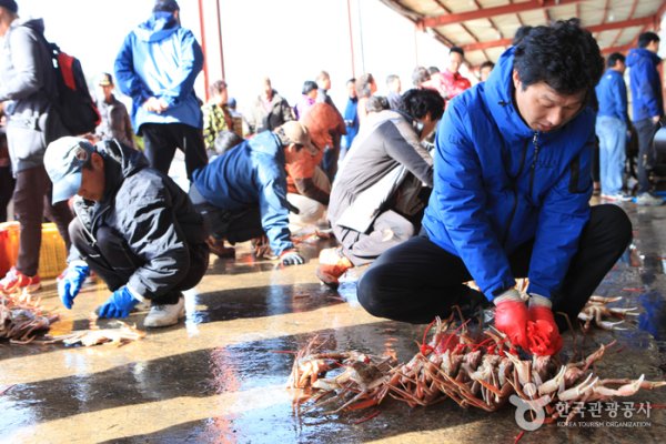 Yeongdeok Snow Crab Festival
