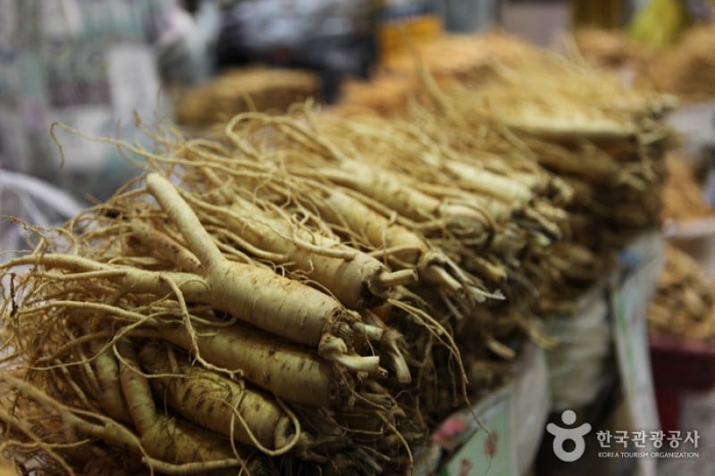 Yeongju Punggi Insam Festival  (1/8)