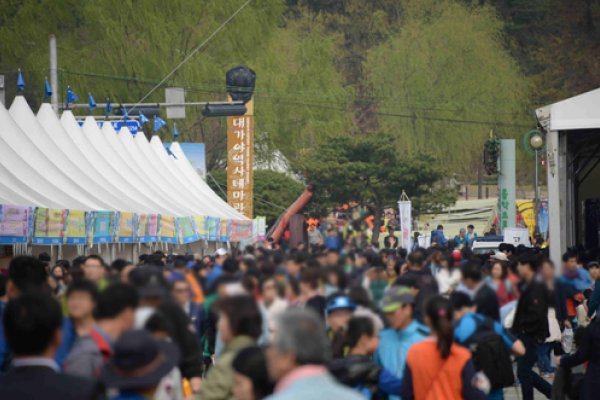 Daegaya Experience Festival