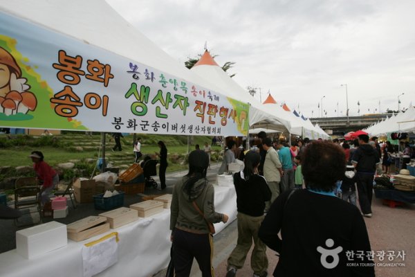 Bonghwa Pine Mushroom Festival