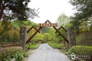 Buljeong Recreational Forest 