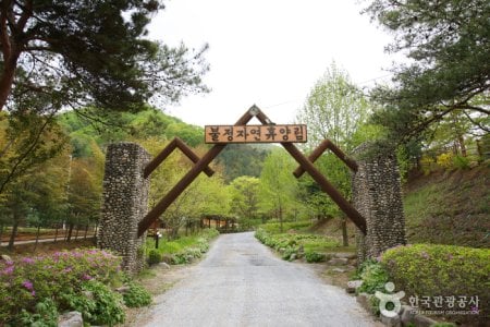 Buljeong Recreational Forest 