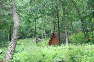 Tohamsan Recreational Forest (토함산자연휴양림)