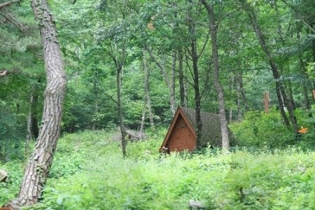 Tohamsan Recreational Forest (토함산자연휴양림)